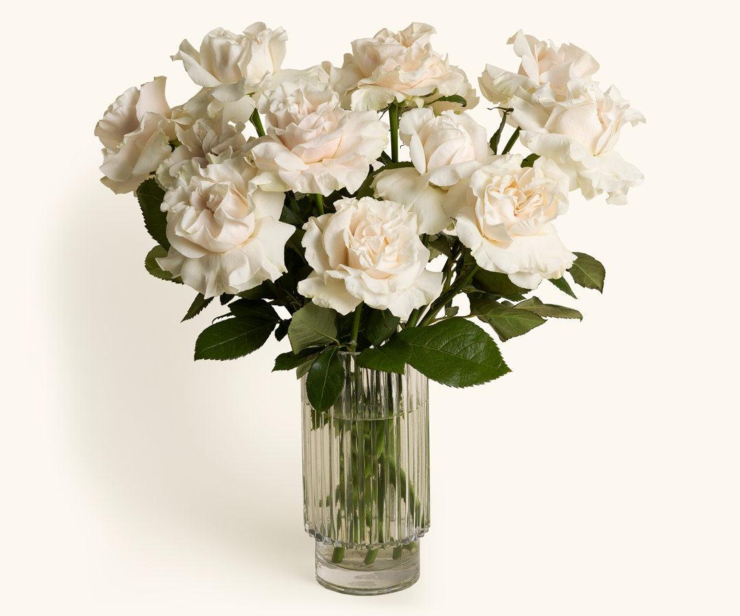 The Condolence Send – Roses-51804267151727