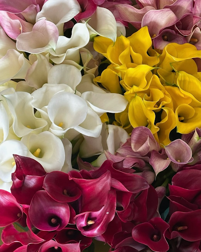 Vibrant calla lilies in yellow, white, and pink arranged elegantly to celebrate April’s spring renewal.-317063987567