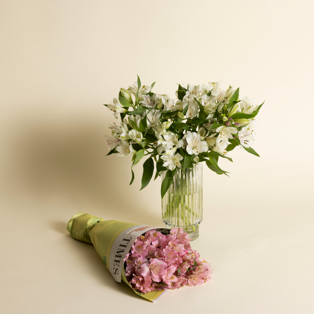 FS Favorites Alstroemeria Fresh Sends