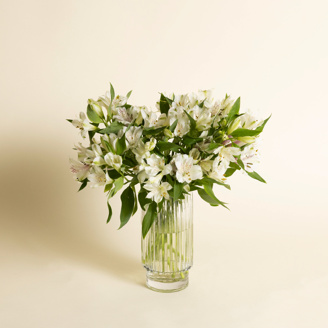 FS Favorites Alstroemeria Fresh Sends