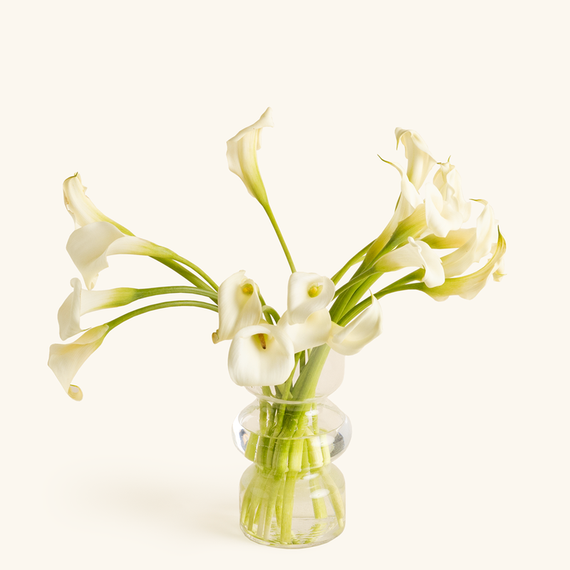 Calla Lilies