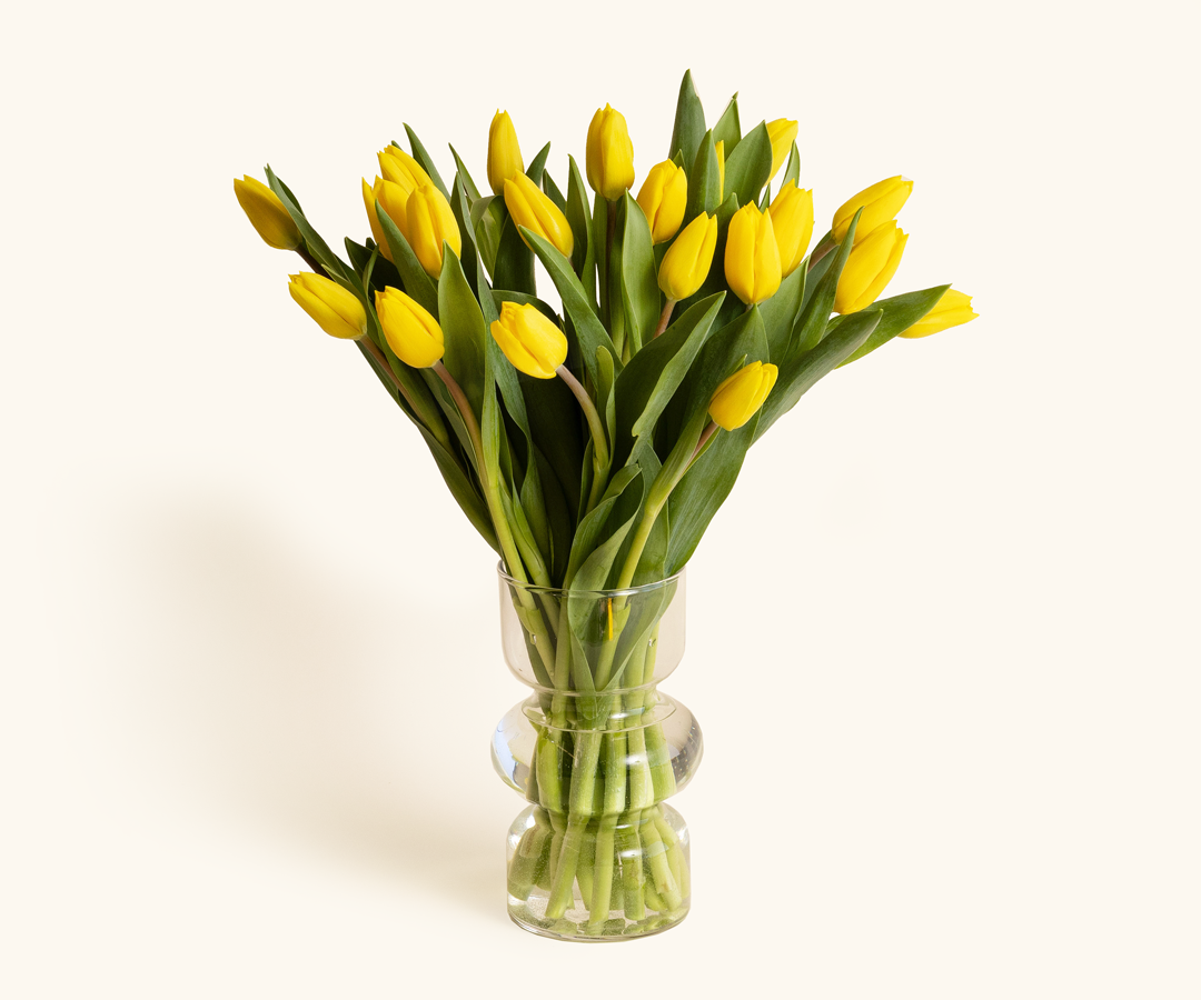 A bouquet of vibrant tulips in soft pastel shades, perfect for Easter celebrations, arranged in a Fresh Sends signature mailer.