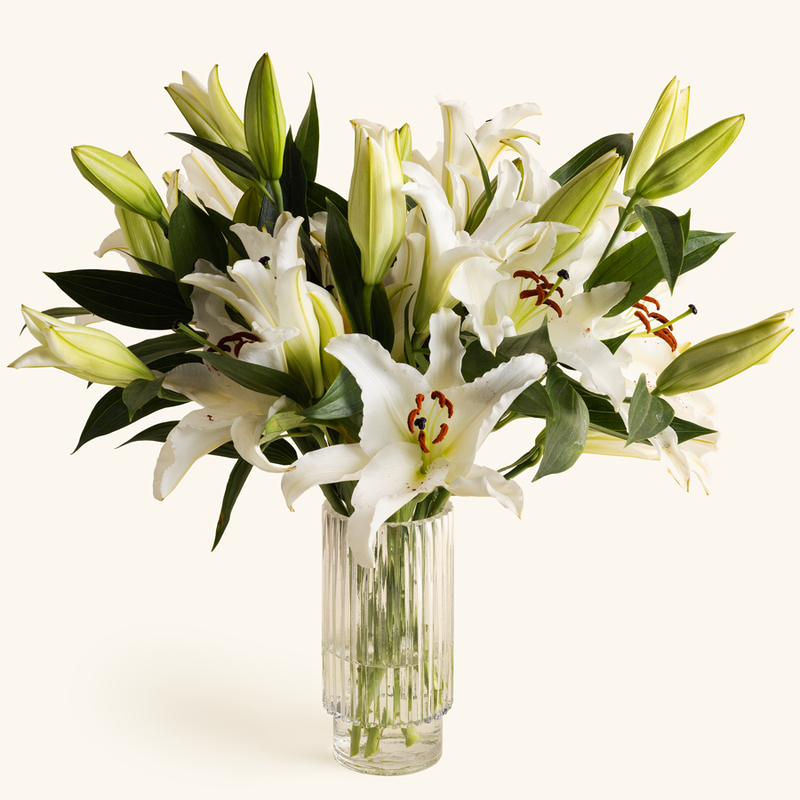 Lilies