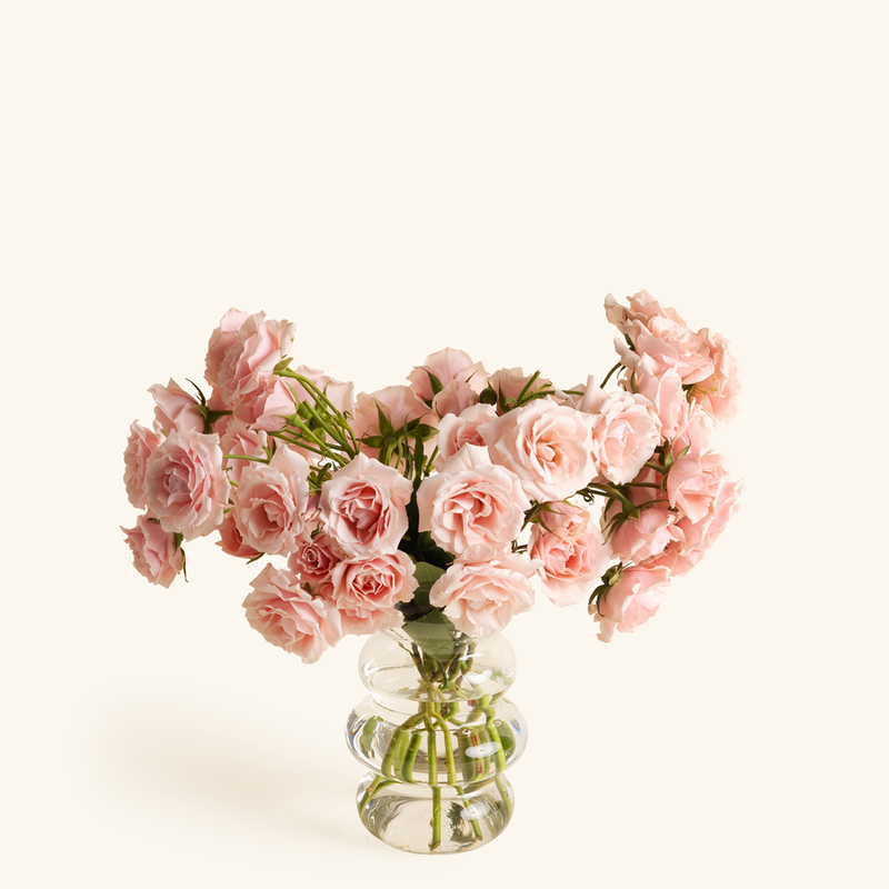Spray Roses