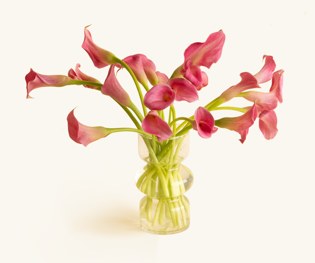 Mother's Day Calla Lilies-53632577503599