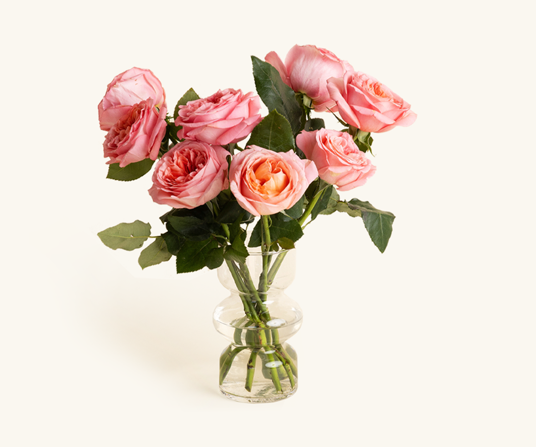 A glass vase with white flowers and a wrapped bouquet of pink flowers on a neutral background.