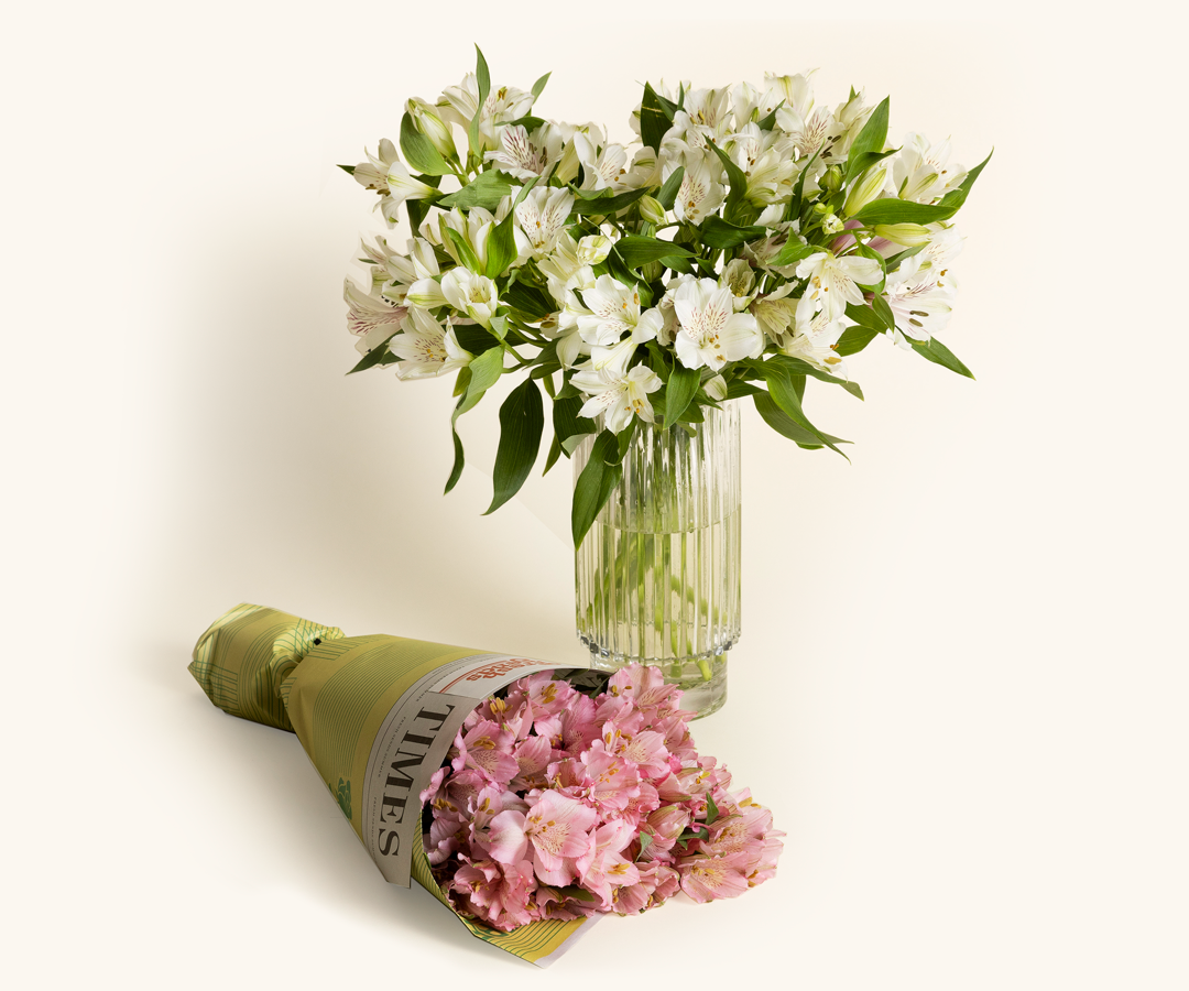 A beautiful and long-lasting bouquet that represents friendship and loyalty.