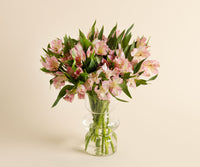 Alstroemeria