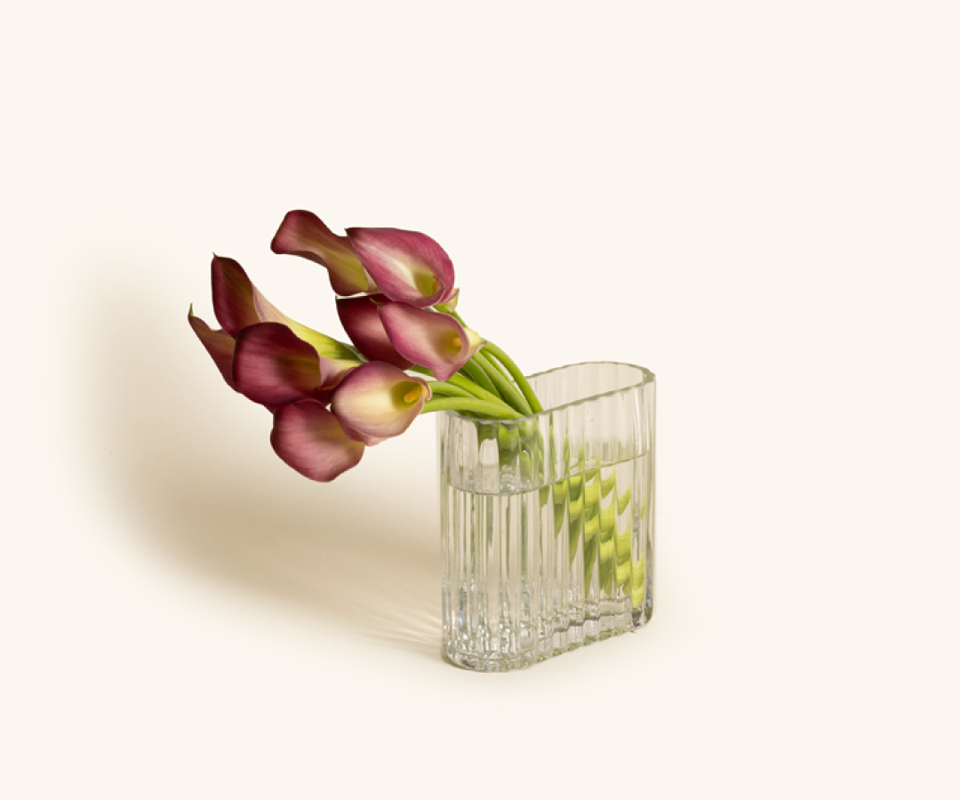 Calla Lilies