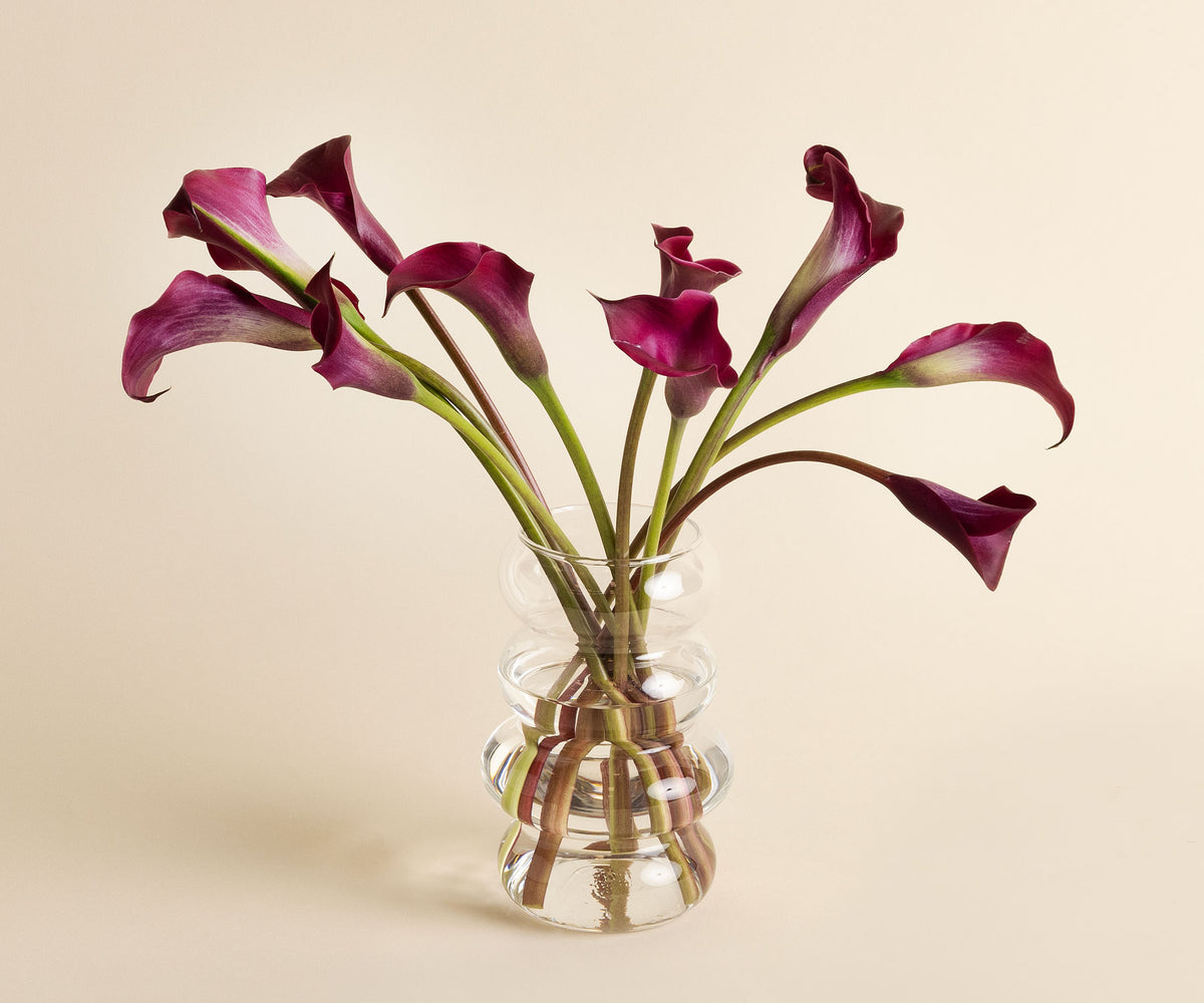 Calla Lilies