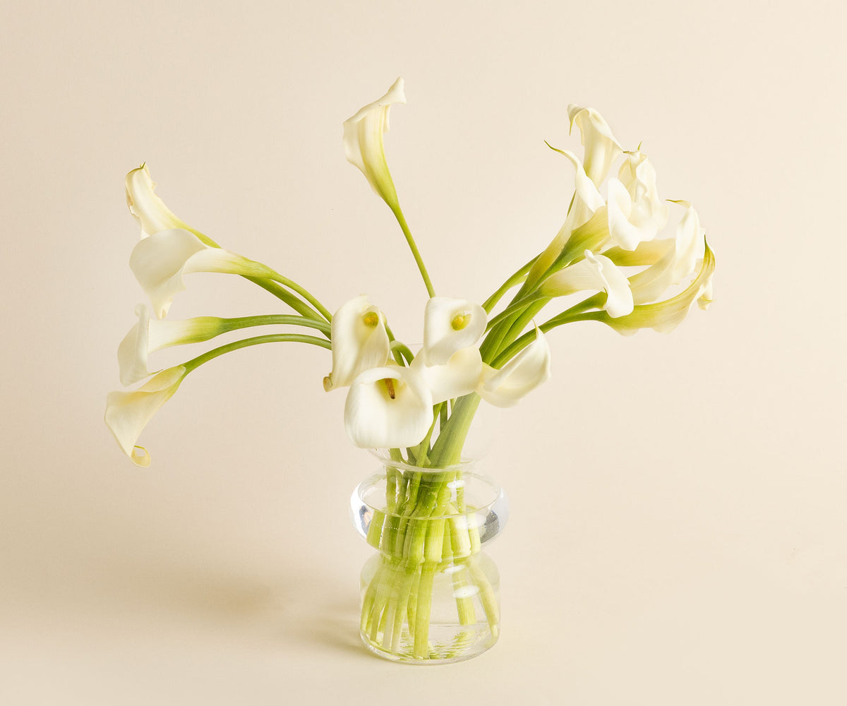 Calla Lilies
