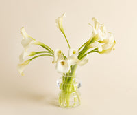Calla Lilies