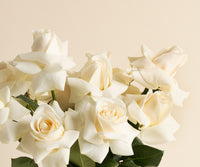 The Condolence Send – Roses