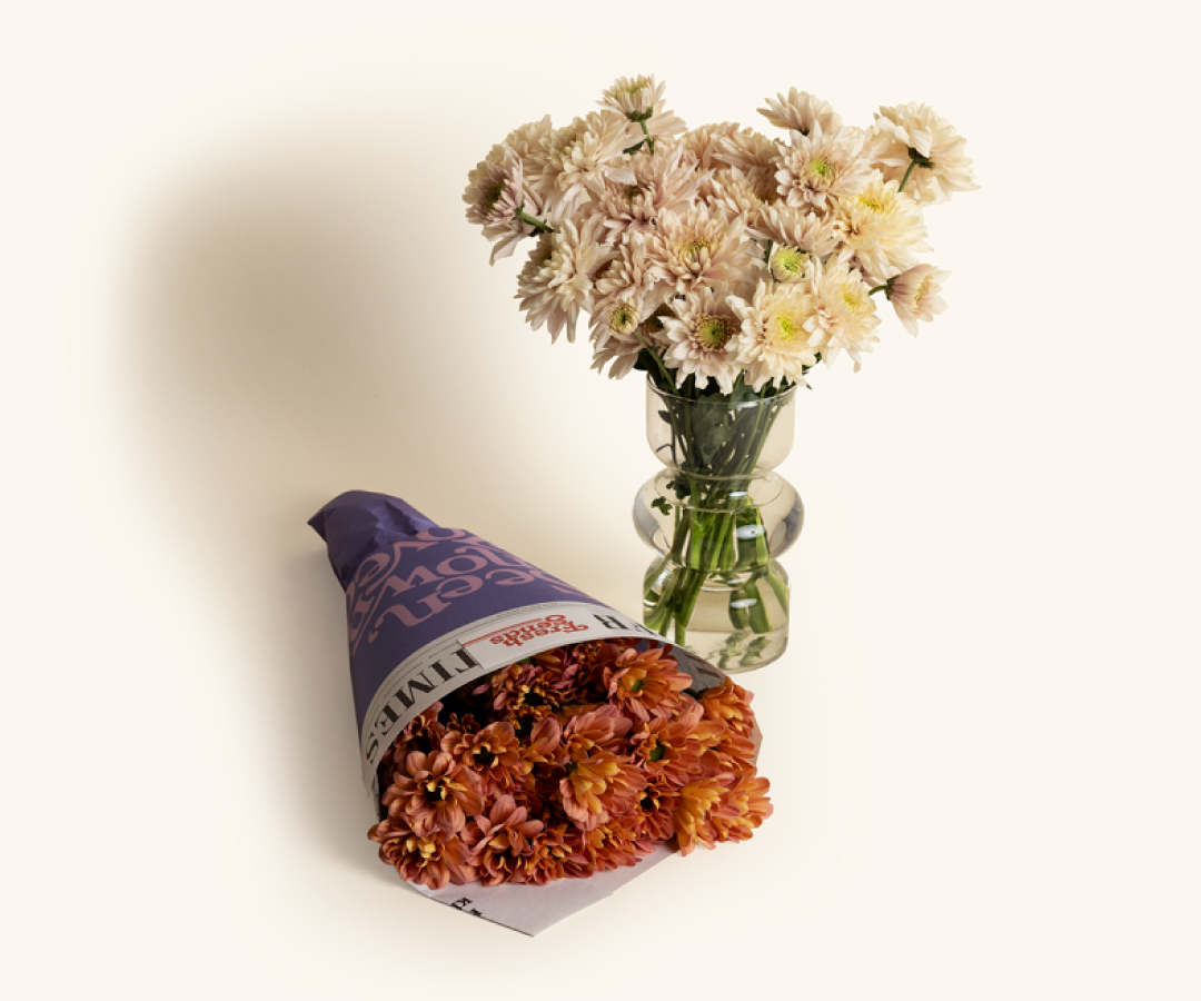 A cheerful bouquet of daisies, bringing happiness and hope with their simple beauty.