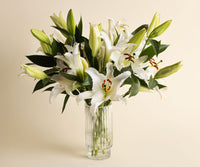 Lilies