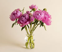 Peonies