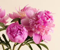 Peonies