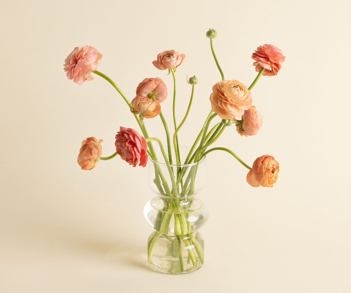 Ranunculus
