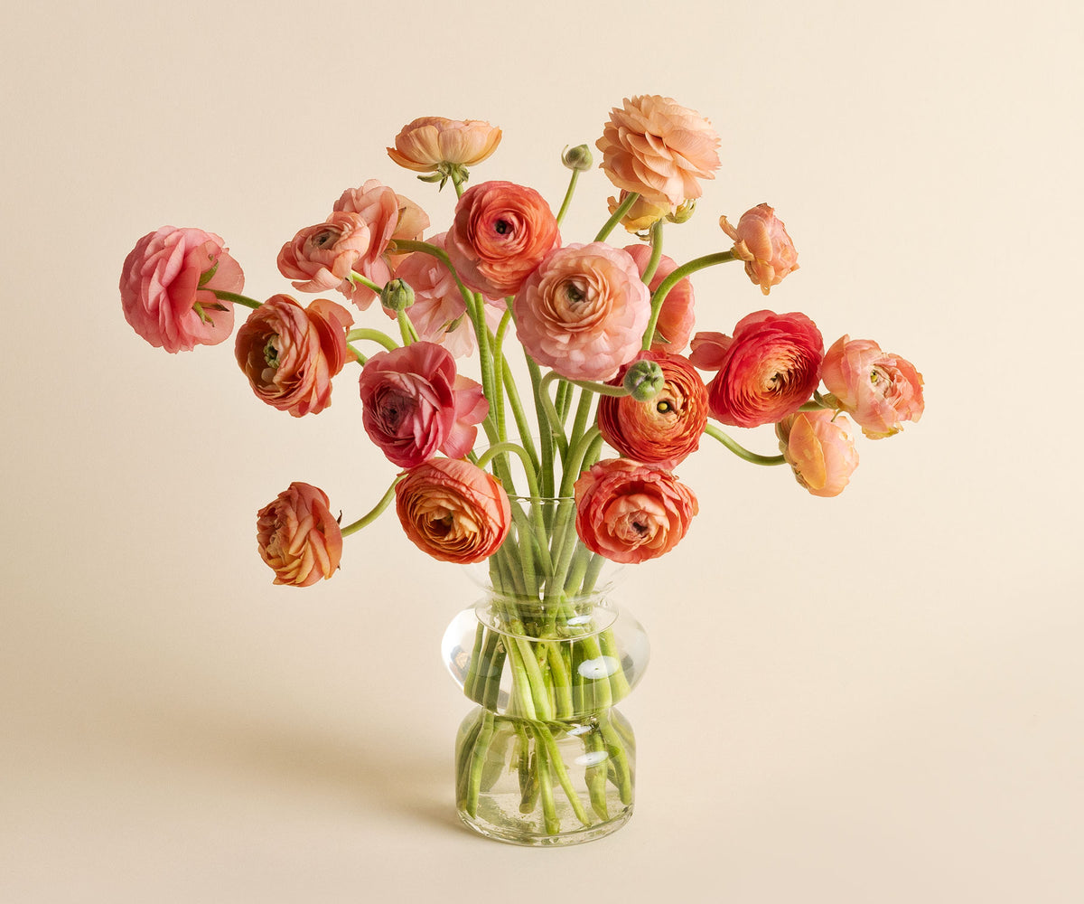 Ranunculus