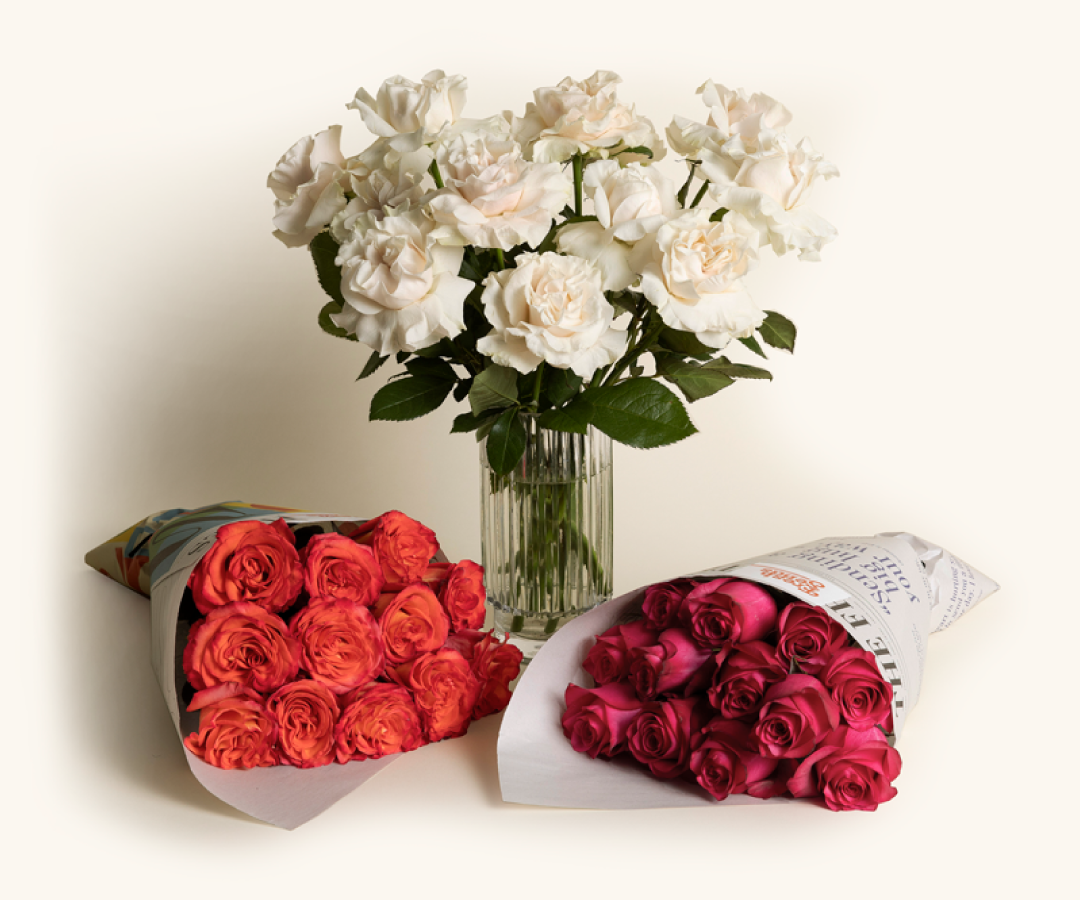 Soft pink and cream roses offering comfort and subtle emotional support.