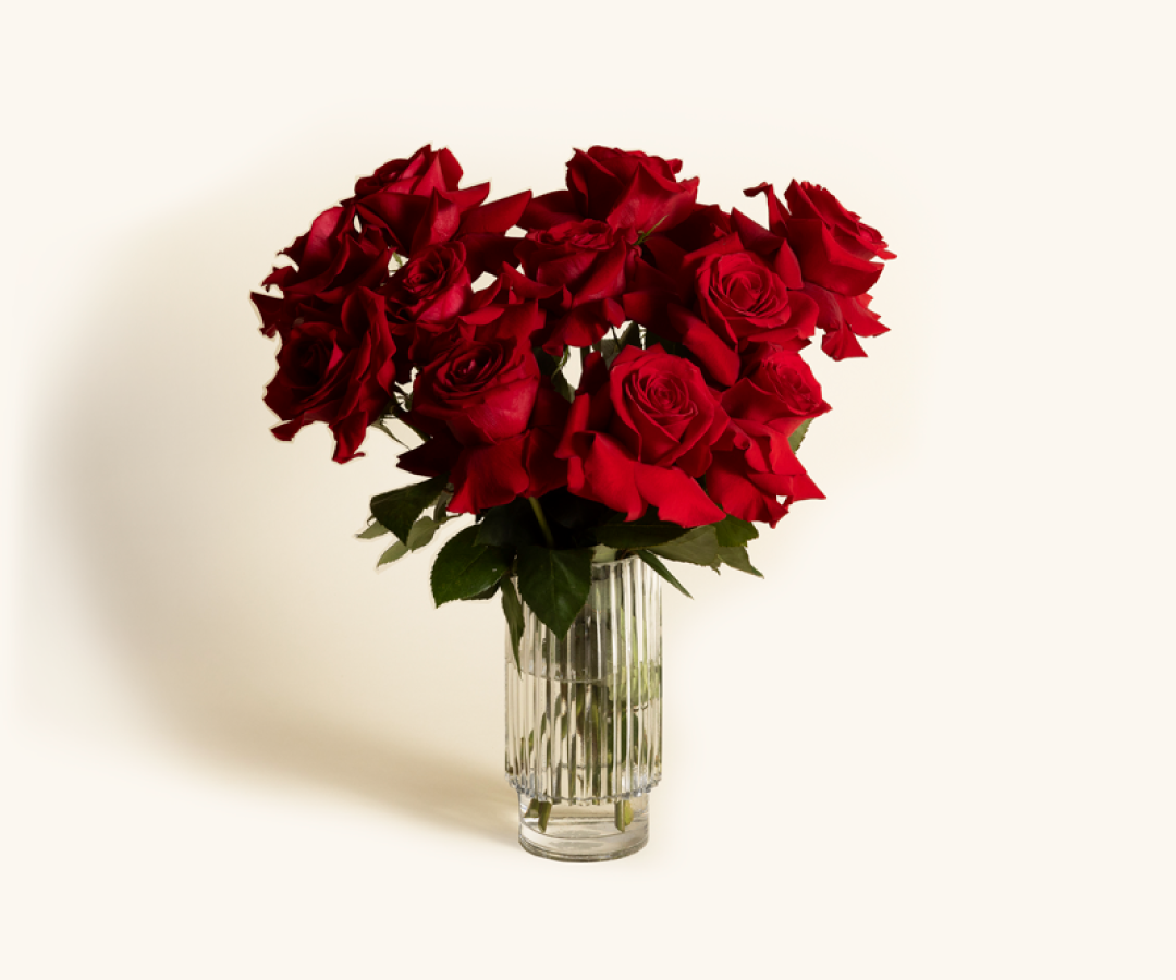 Fresh Sends – Your go-to gifting brand.