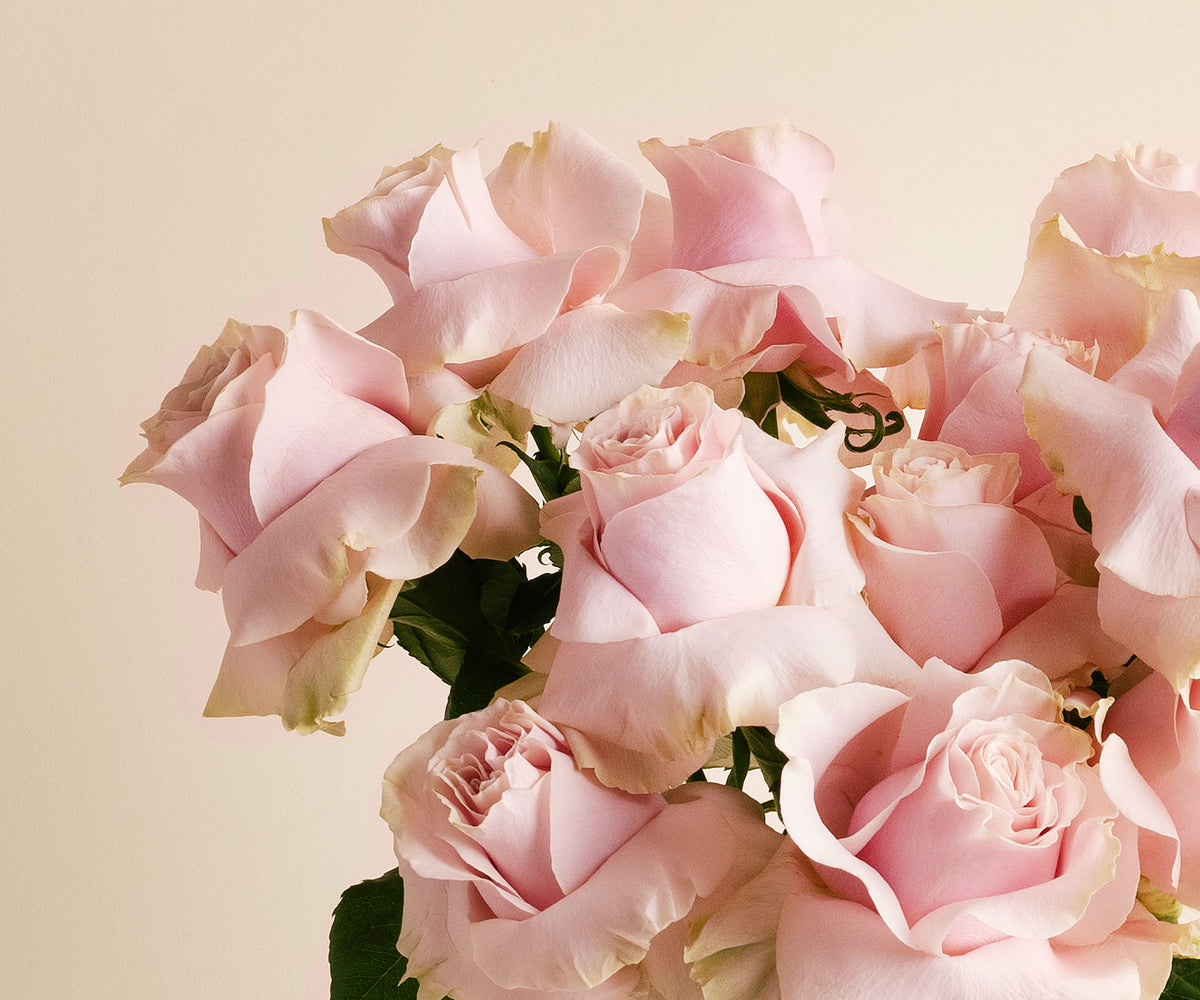 Roses