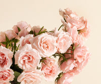 Spray Roses