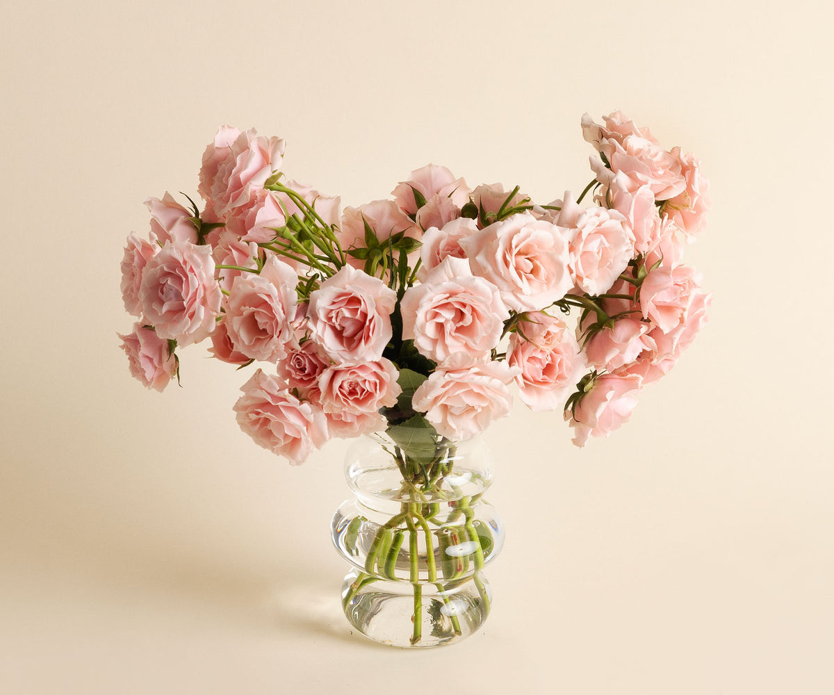 Spray Roses