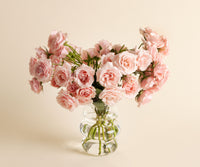 Spray Roses