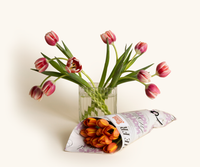 Lilies