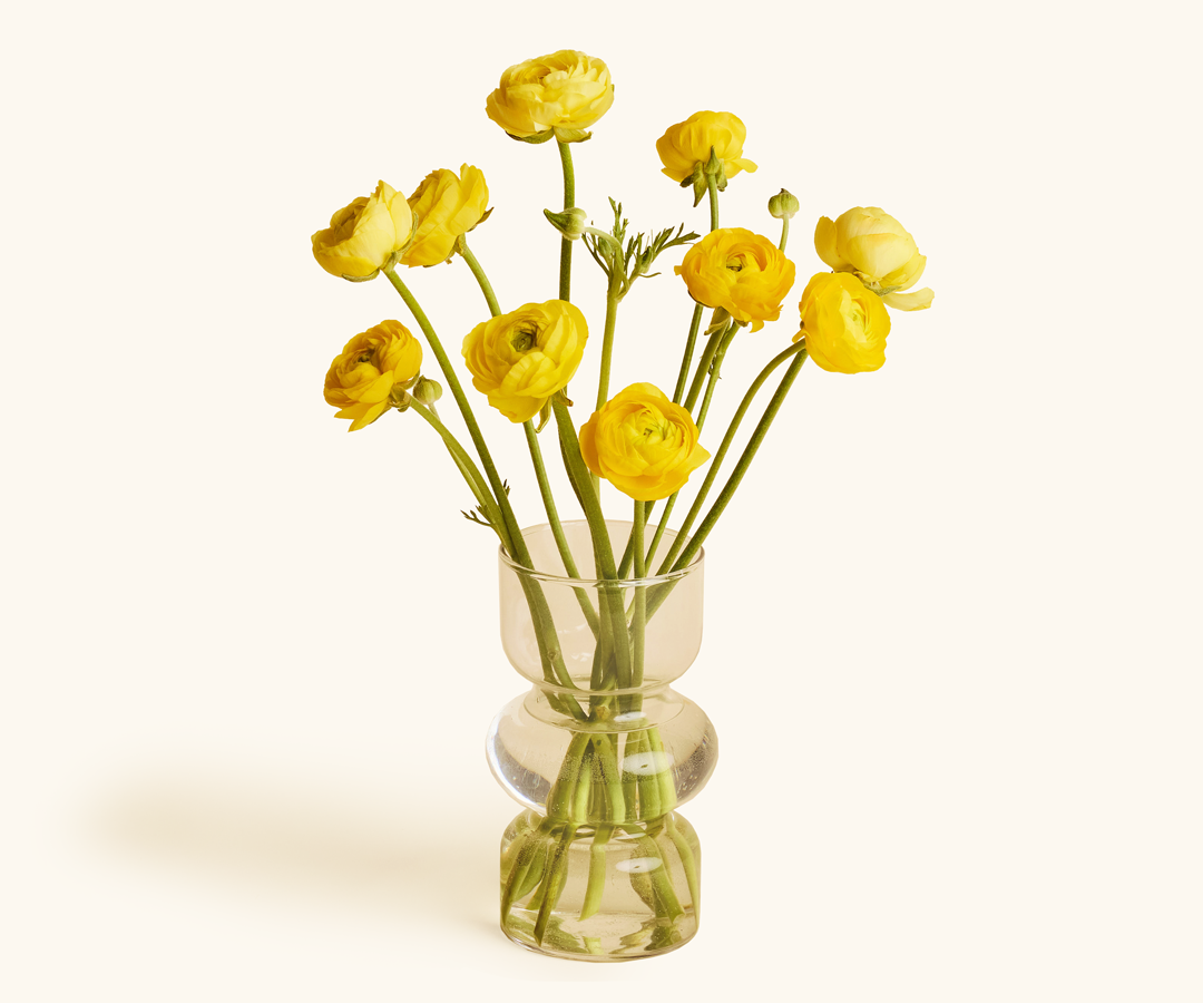 Ranunculus