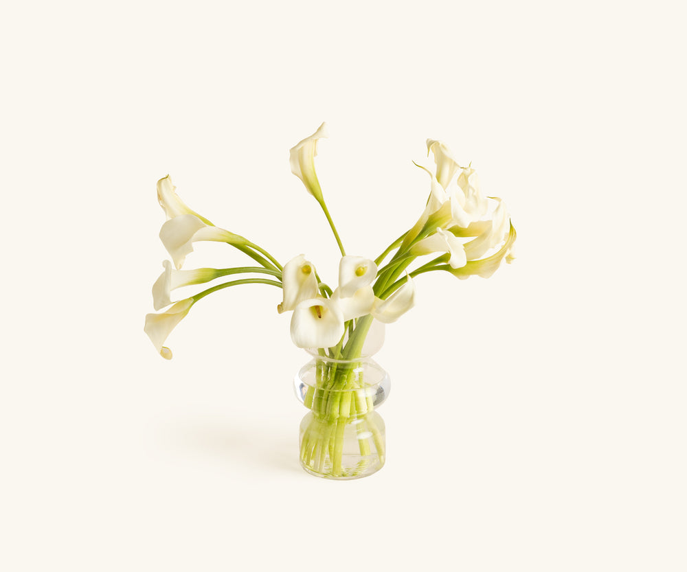 Calla Lilies