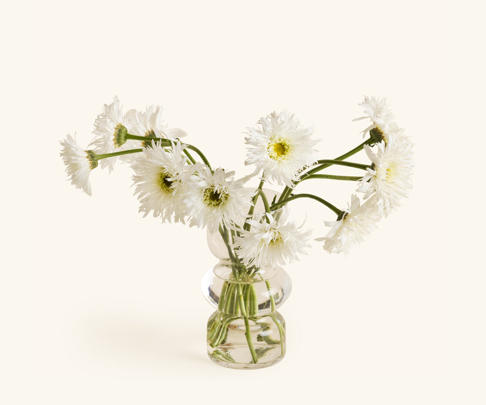 Daisies