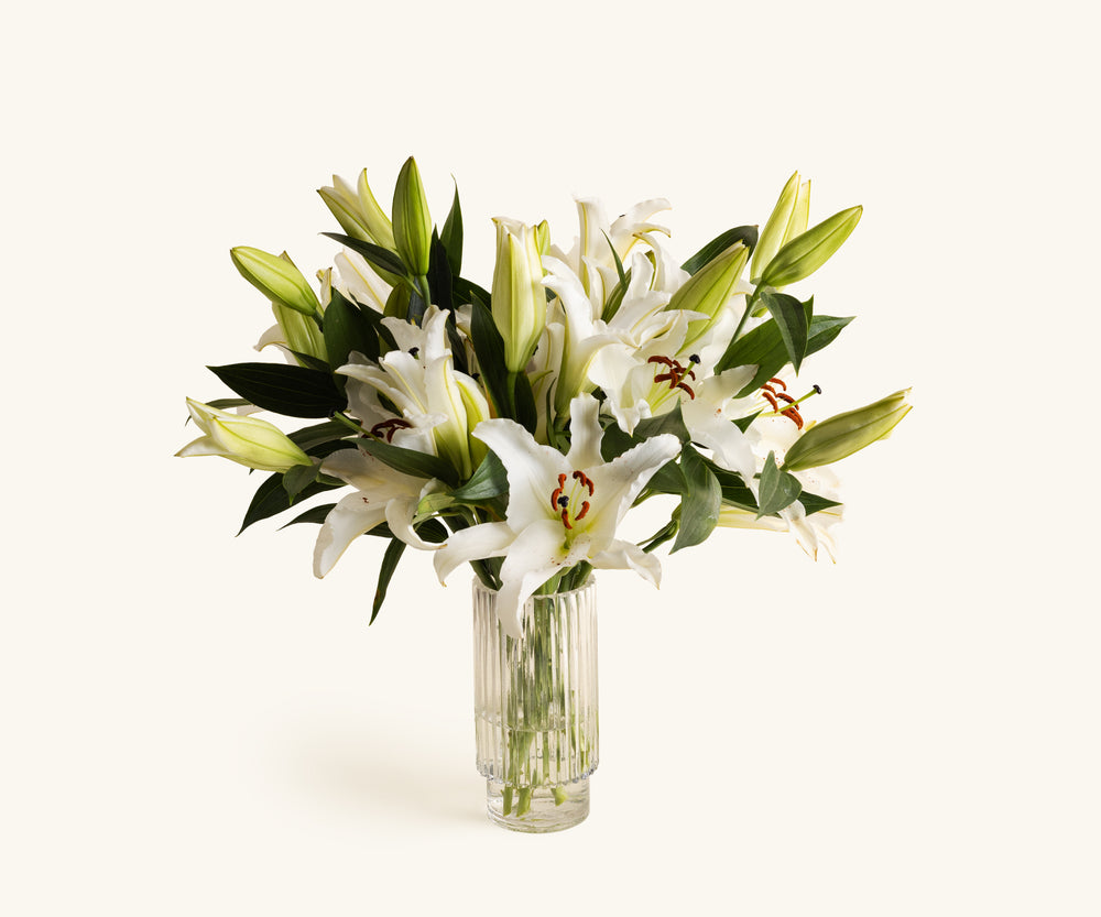 Lilies