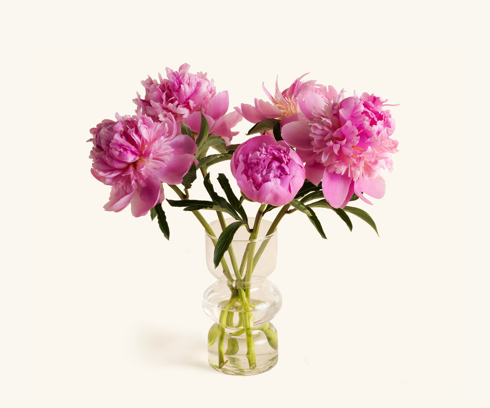 Peonies