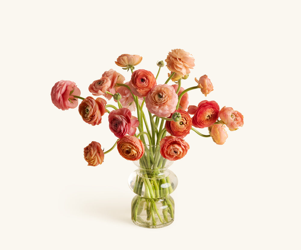 Ranunculus