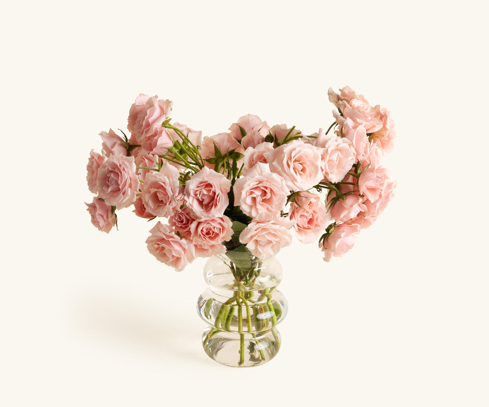 Spray Roses