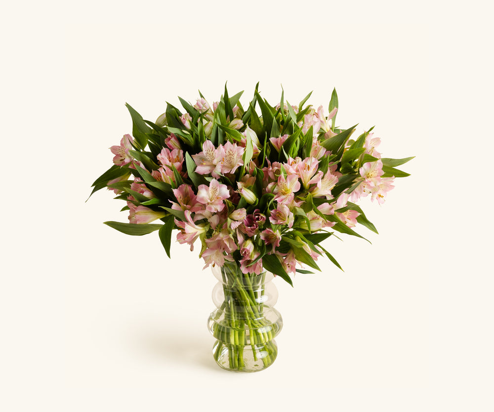 Alstroemeria