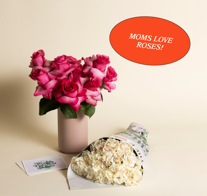 Fresh Sends – Your go-to gifting brand.