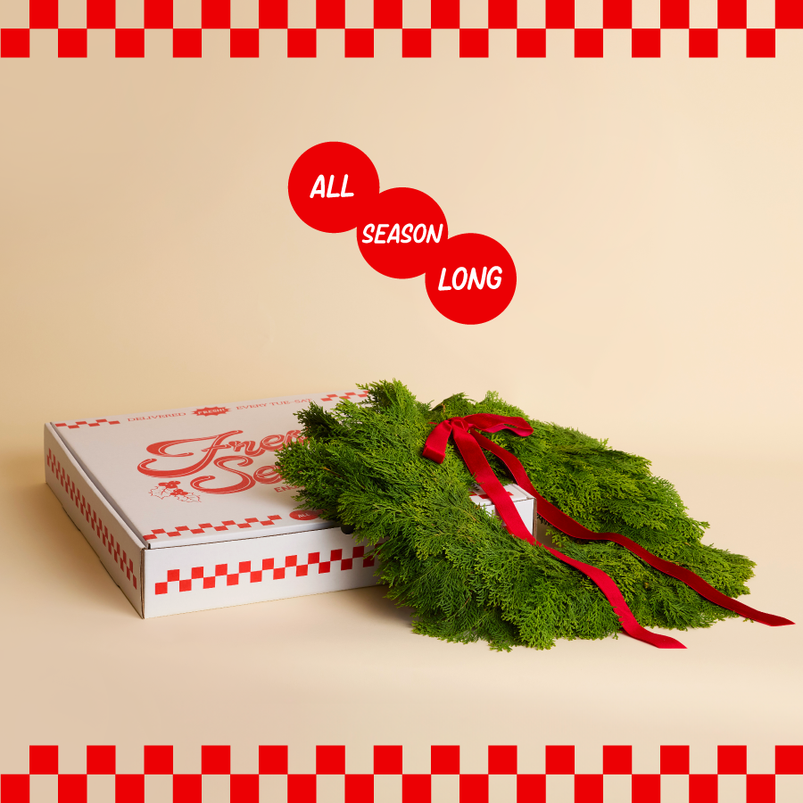 Fresh Sends – Your go-to gifting brand.